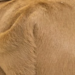 Marc Jacobs Light Brown Calfhair Crystal Embellished Shoulder Bag For Women -Cheap Marc Jacobs Store luxury women marc jacobs used handbags p107407 0010