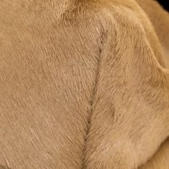 Marc Jacobs Light Brown Calfhair Crystal Embellished Shoulder Bag For Women -Cheap Marc Jacobs Store luxury women marc jacobs used handbags p107407 0012